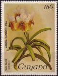 Colnect-3977-194-Vanda-sanderiana.jpg