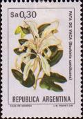 Colnect-563-133-Pata-de-Vaca-Bauhinia-candicans.jpg