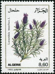 Colnect-722-325-Lavandula-stoechas.jpg