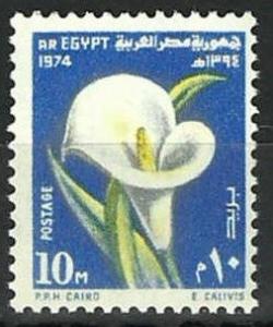 Colnect-2221-789-Ramadan-Festival---Zantedeschia-aethiopica.jpg