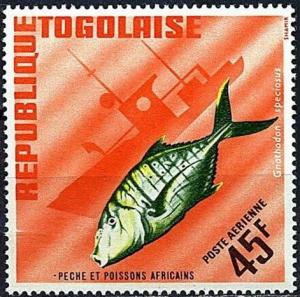 Colnect-1650-335-Golden-Trevally-Gnathodon-speciosus.jpg