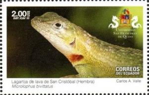 Colnect-5558-244-San-Crist%C3%B3bal-Lava-Lizard-Microlophus-bivittatus.jpg