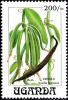 Colnect-6296-159-Vanilla-fragrans.jpg