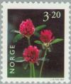 Colnect-162-548-Red-Clover-Trifolium-pratense.jpg