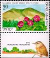 Colnect-791-679-Mt-Meron-Nature-Reserve--on-Tab-Eurasian-Wren-Troglodytes.jpg