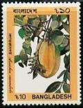 Colnect-2878-349-Averrhoa-carambola.jpg