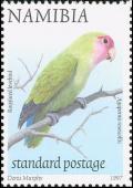 Colnect-3050-454-Rosy-faced-Lovebird-Agapornis-roseicollis.jpg