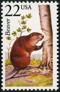 Colnect-5026-786-Canadian-Beaver-Castor-fiber-canadensis.jpg