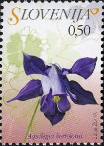 Colnect-712-512-Flowers-of-Slovenia---Aquilegia-bertolinii.jpg