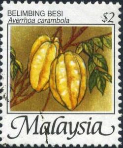 Colnect-2950-124-Averrhoa-carambola.jpg