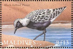 Colnect-1631-376-Grey-Plover-Pluvialis-squatarola.jpg