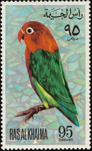 Colnect-1656-980-Lilian-s-Lovebird%C2%A0Agapornis-lilianae.jpg