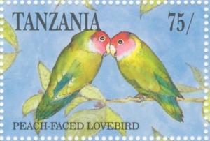 Colnect-1745-617-Rosy-faced-Lovebird-Agapornis-roseicollis.jpg