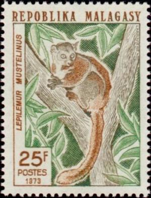 Colnect-2087-545-Greater-Sportive-Lemur-Lepilemur-mustelinus.jpg