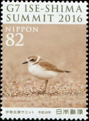 Colnect-5624-158-Kentish-Plover-Charadrius-alexandrinus.jpg