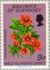 Colnect-125-583-Anagallis-arvensis---Scarlet-Pimpernel.jpg