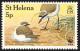 Colnect-1661-825-St-Helena-Plover-Charadrius-sanctaehelenae.jpg