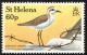 Colnect-1661-829-St-Helena-Plover-Charadrius-sanctaehelenae.jpg