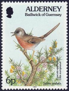 Colnect-5180-995-Dartford-Warbler-Sylvia-undata-Clover-Dodder-Cuscuta-epi.jpg