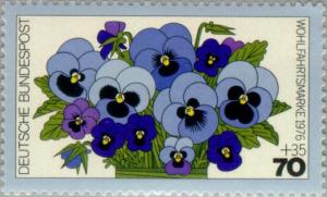 Colnect-153-043-Viola-tricolor.jpg