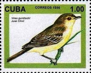 Colnect-2458-898-Cuban-vireo-Vireo-gundlachii.jpg