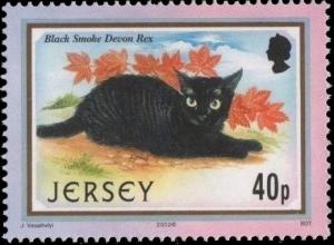 Colnect-5155-948-Black-Smoke-Devon-Rex-Felis-silvestris-catus.jpg