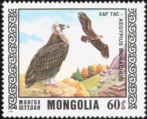 Colnect-859-473-Cinereous-Vulture-Aegypius-monachus.jpg