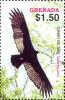 Colnect-3990-486-Turkey-Vulture-Carhartes-aura.jpg