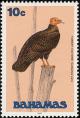 Colnect-576-819-Turkey-Vulture-Cathartes-aura.jpg