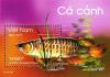 Colnect-1621-725-Asian-Arowana-Scleropages-formosus.jpg