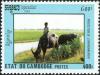 Colnect-2550-195-Boy-riding-on-Water-Buffalo-Bubalus-bubalis-.jpg