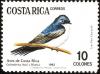 Colnect-758-989-Blue-and-white-Swallow-Notiochelidon-cyanoleuca.jpg