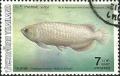 Colnect-2250-707-Asian-Arowana-Scleropages-formosus.jpg