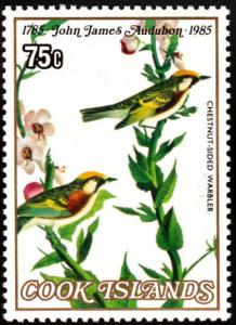 Colnect-1473-476-Chestnut-sided-Warbler-Dendroica-pensylvanica.jpg