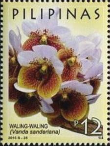 Colnect-3955-605-Waling-Waling-Vanda-sanderiana.jpg