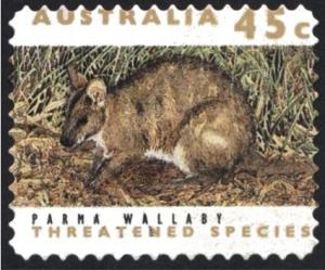 Colnect-1412-833-Parma-Wallaby-Wallabia-parma.jpg