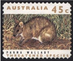 Colnect-1412-839-Parma-Wallaby-Wallabia-parma.jpg