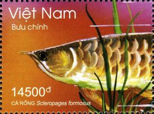 Colnect-1621-724-Asian-Arowana-Scleropages-formosus.jpg