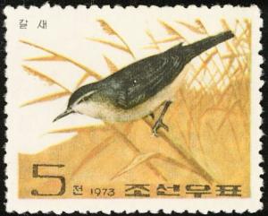 Colnect-2130-125-Black-browed-Reed-Warbler-Acrocephalus-bistrigiceps.jpg