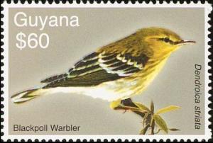 Colnect-3742-929-Blackpoll-Warbler-Setophaga-striata.jpg