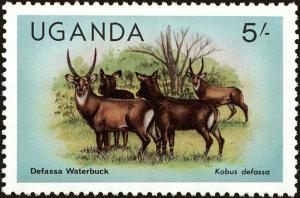 Colnect-4277-725-Defassa-Waterbuck-Kobus-defassa.jpg