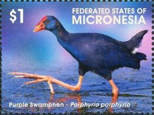 Colnect-5782-028-Australasian-Swamphen---Porphyrio-melanotus.jpg