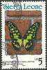 Colnect-4279-549-Green-Spotted-Swallowtail-Graphium-Tynderaeus.jpg