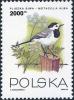 Colnect-4875-073-White-Wagtail-Motacilla-alba.jpg