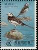 Colnect-2194-100-White-Wagtail-Motacilla-alba.jpg