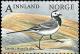 Colnect-3120-056-White-Wagtail-Motacilla-alba.jpg