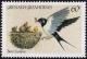 Colnect-4024-100-Barn-Swallow-Hirundo-rustica.jpg