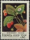 Colnect-4839-187-Wild-strawberries---Fragaria-vesca.jpg