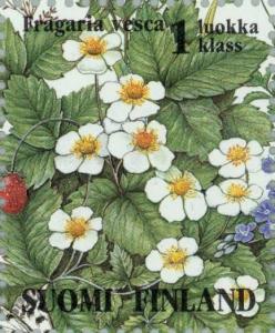 Colnect-160-254-Wild-Strawberries-Fragaria-vesca.jpg