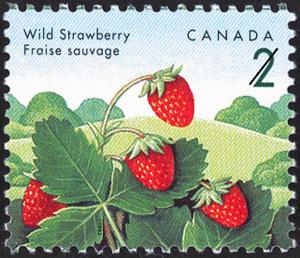 Colnect-748-390-Wild-strawberry---Fragaria-vesca.jpg